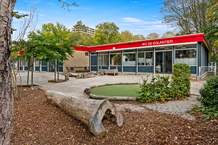 Photo 34 of Roland Holstlaan 996