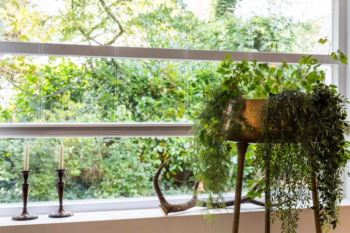 Foto 27 van Windhoek 3