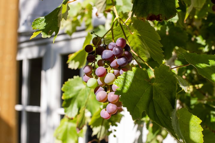 Foto 60 van Windhoek 3