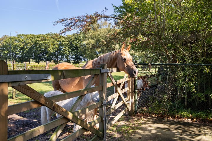 Foto 74 van Windhoek 3