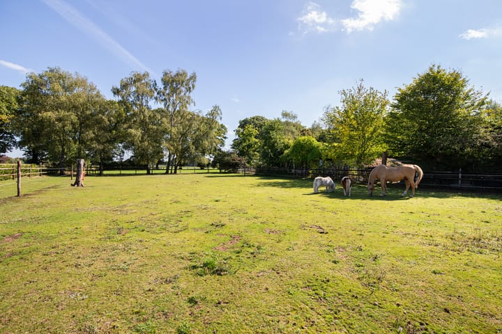 Foto 75 van Windhoek 3