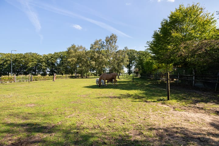 Foto 76 van Windhoek 3