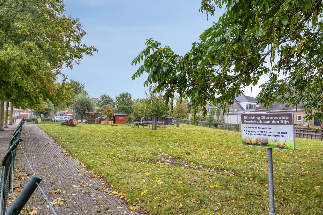 Foto 43 van Den Tollstraat 46