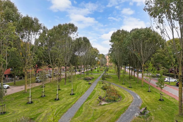 Foto 50 van Rijnland 159