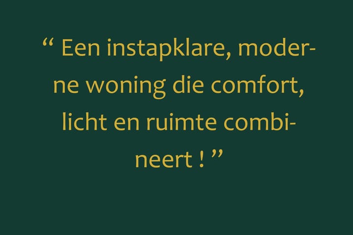 Foto 6 van Goudzoeker 22