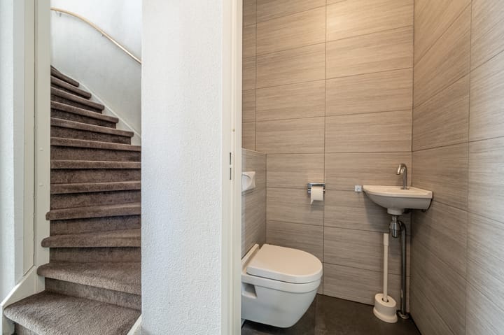 Foto 8 van Goudzoeker 22