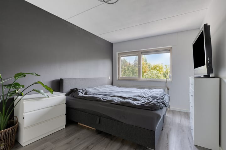 Foto 15 van Kaardebol 37