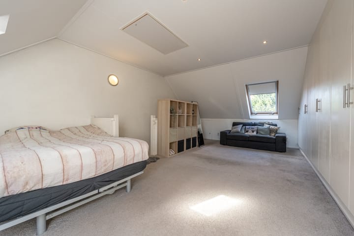 Foto 47 van Goudzoeker 22