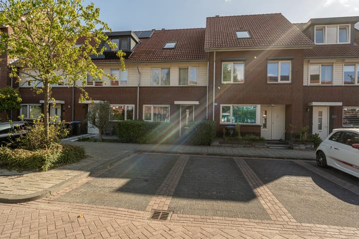 Foto 52 van Goudzoeker 22