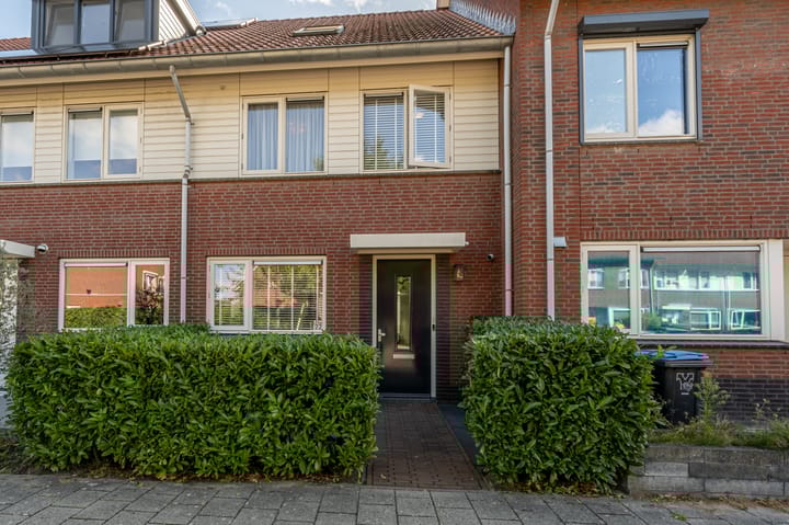 Foto 51 van Goudzoeker 22