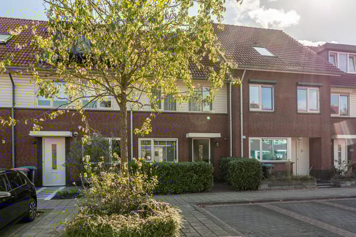 Foto 50 van Goudzoeker 22