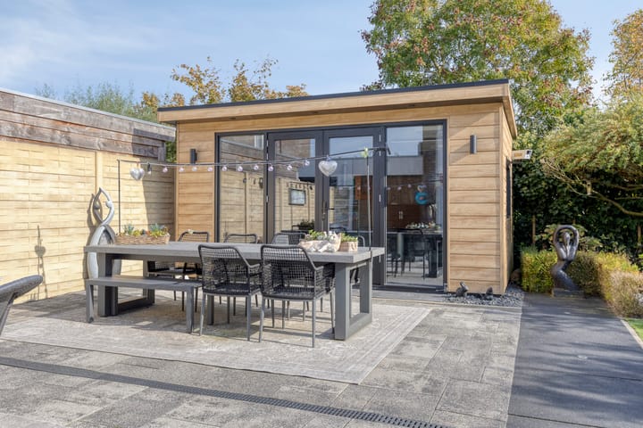 Foto 5 van Paardenbloem 5