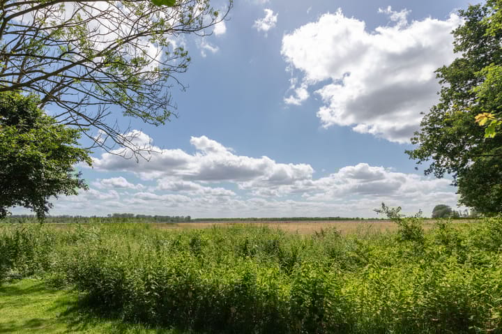 Photo 3 of Varelseweg 211-0004