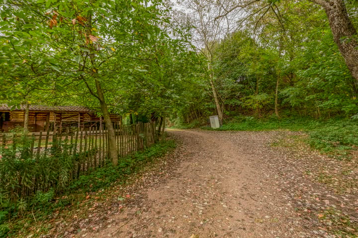 Foto 36 van Deventerweg 247-A