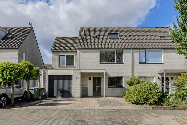 Papegaai 40 main image