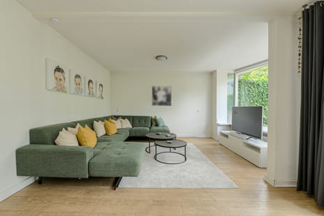 Papegaai 40 tertiary image