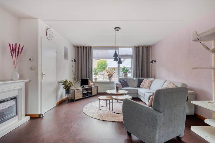 Foto 2 van Groene Specht 11