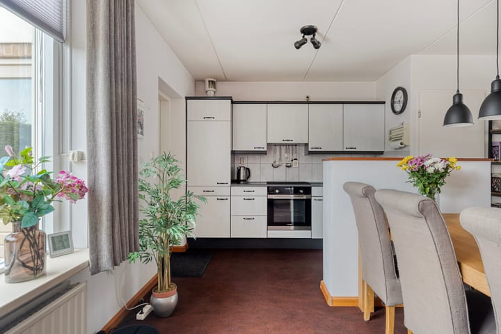 Foto 3 van Groene Specht 11