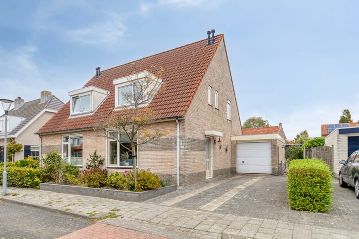 Foto 5 van Groene Specht 11