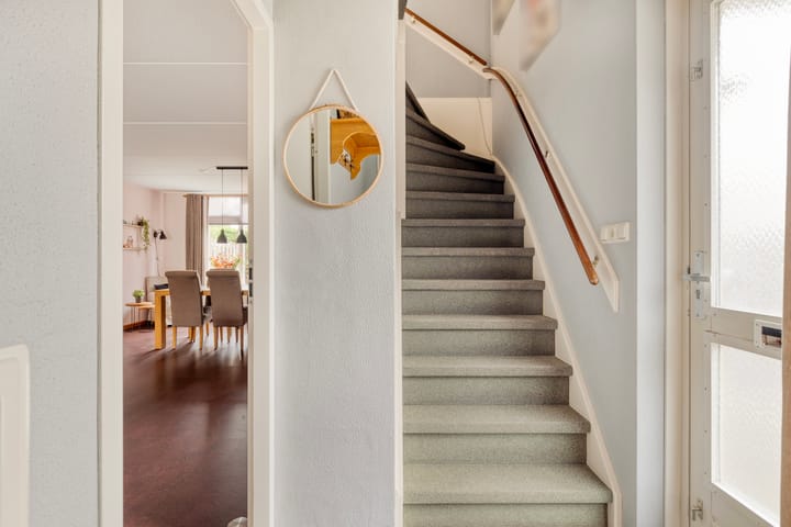 Foto 6 van Groene Specht 11