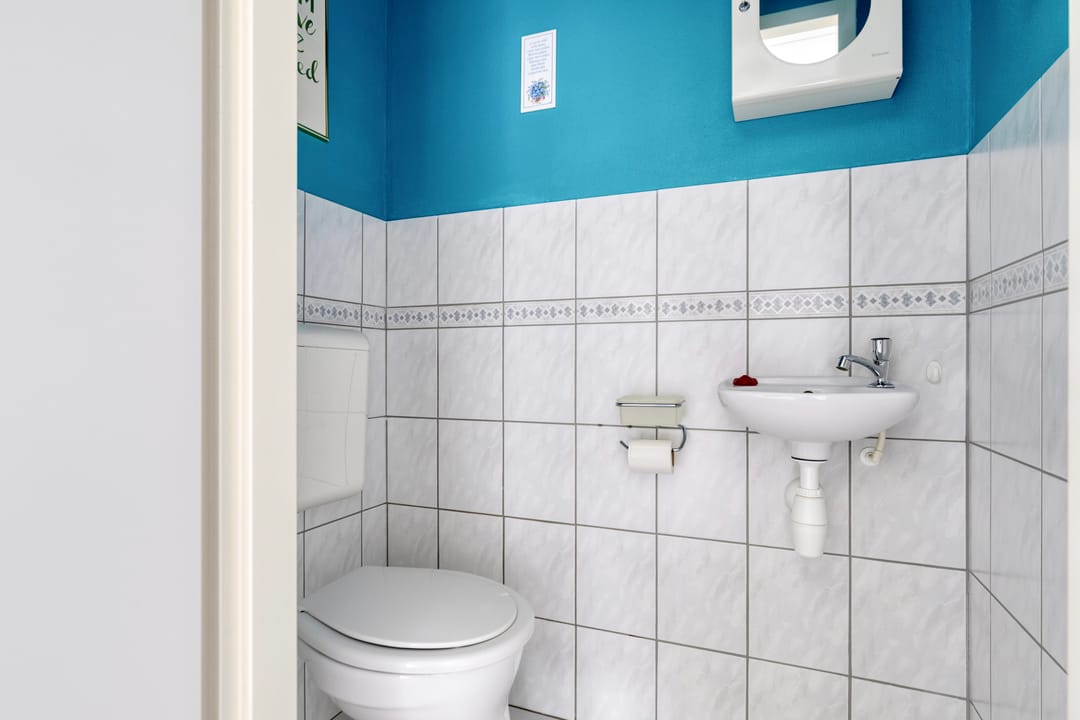Foto 7 van Groene Specht 11
