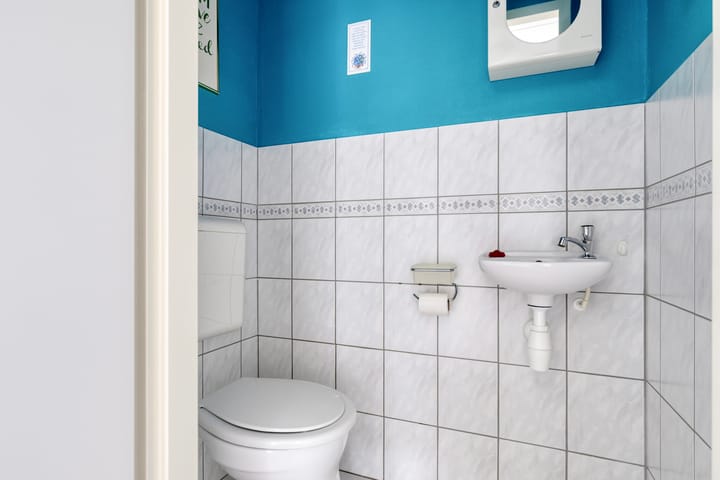 Foto 7 van Groene Specht 11