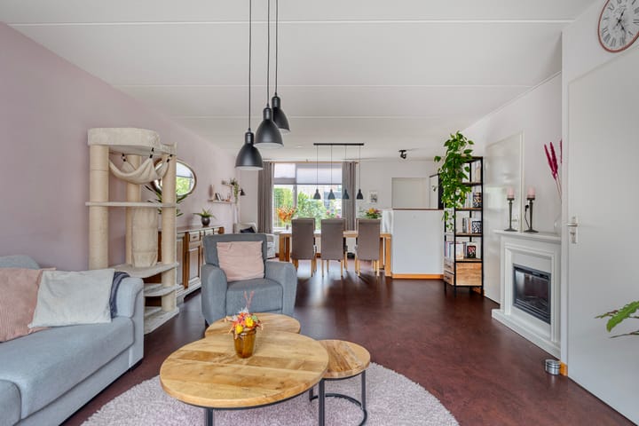 Foto 8 van Groene Specht 11