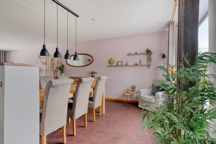 Foto 12 van Groene Specht 11