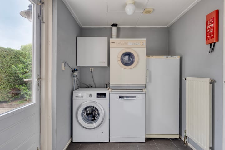 Foto 15 van Groene Specht 11