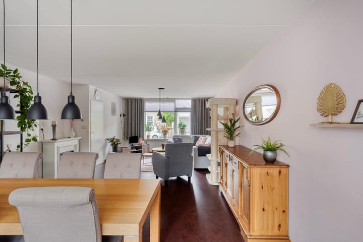 Foto 11 van Groene Specht 11