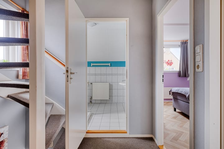 Foto 16 van Groene Specht 11