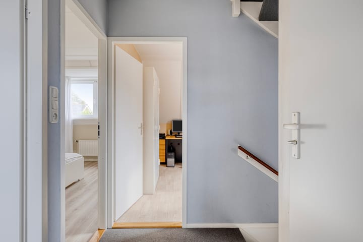 Foto 17 van Groene Specht 11