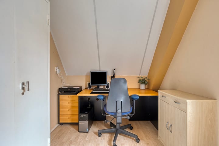 Foto 22 van Groene Specht 11