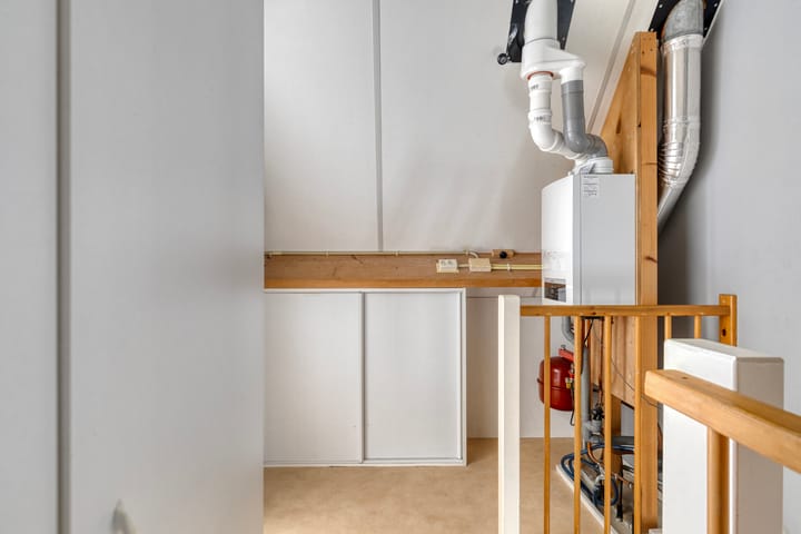 Foto 26 van Groene Specht 11