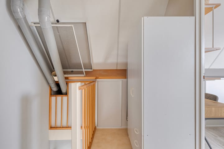 Foto 27 van Groene Specht 11