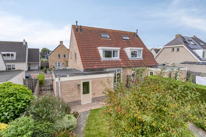 Foto 30 van Groene Specht 11