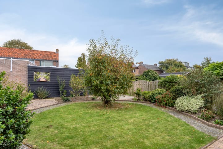 Foto 31 van Groene Specht 11