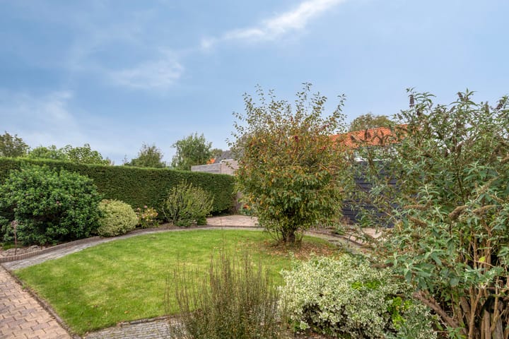 Foto 32 van Groene Specht 11