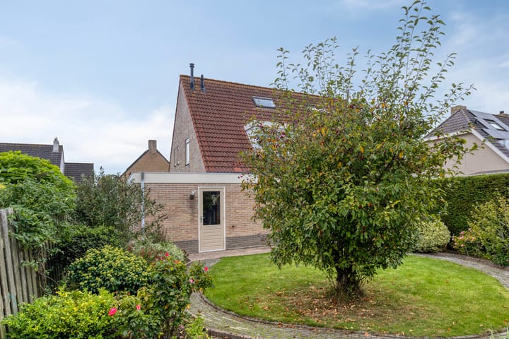 Foto 33 van Groene Specht 11