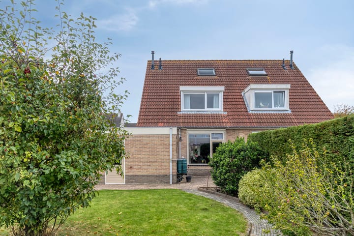 Foto 35 van Groene Specht 11