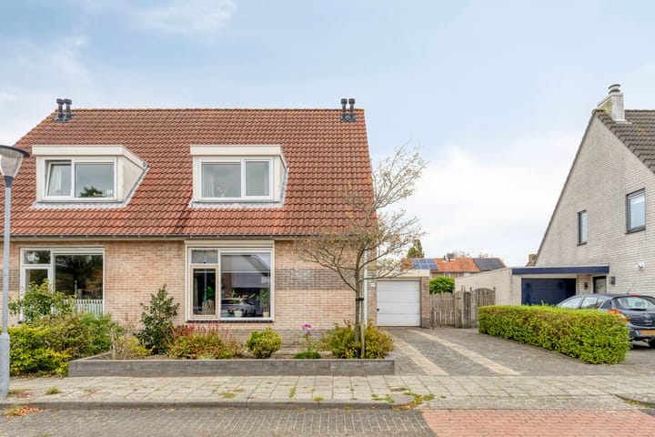 Foto 36 van Groene Specht 11