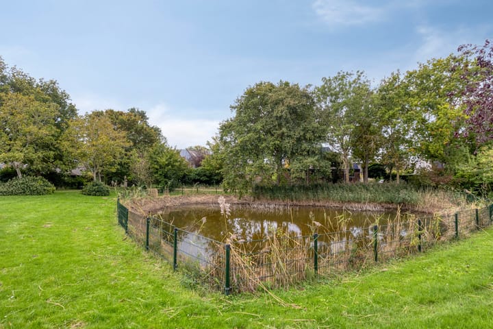 Foto 37 van Groene Specht 11