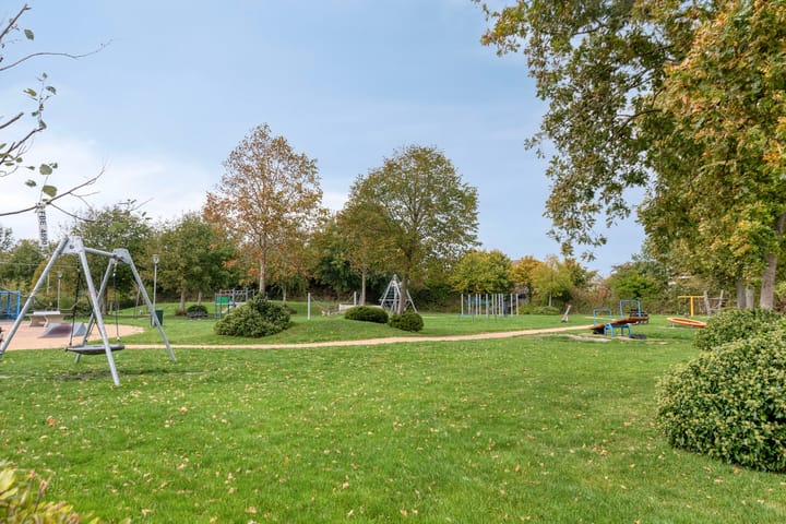 Foto 38 van Groene Specht 11