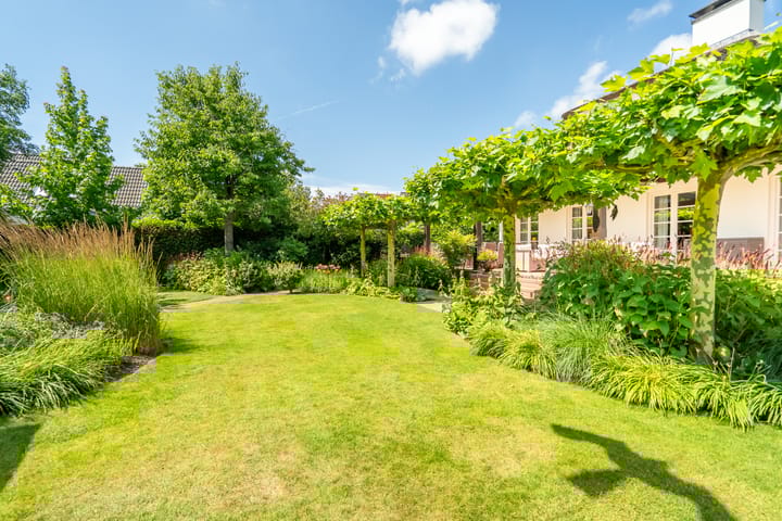 Foto 27 van Liesgrassingel 18