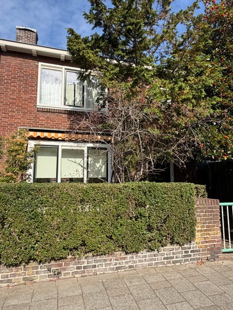 undefined main image