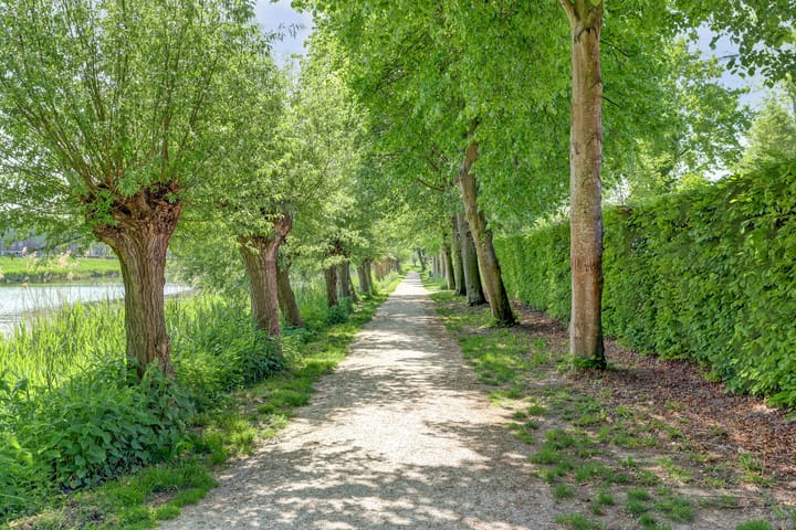 Foto 86 van Strijenpad 3