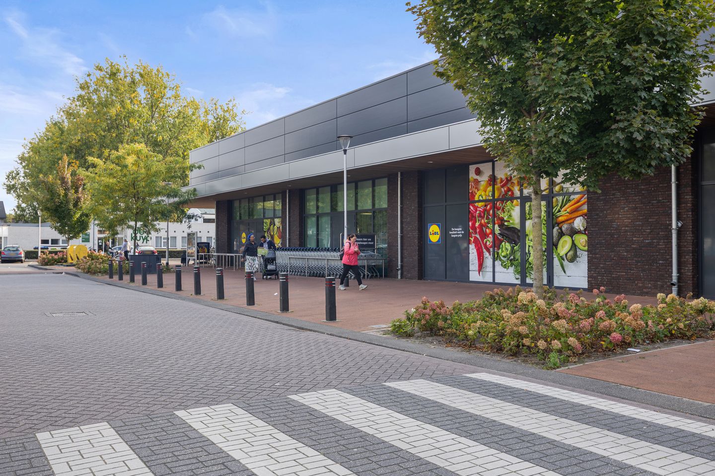 Photo 44 of Ds. Louwe Kooymanslaan 69