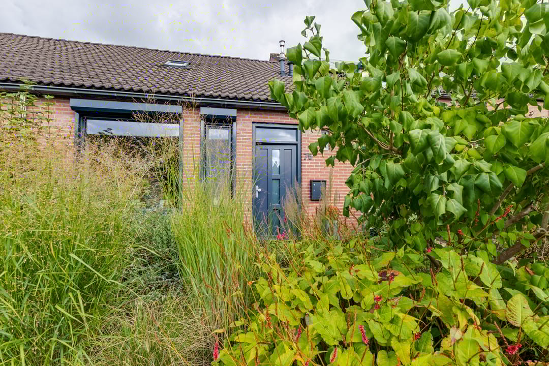 Photo 16 of Bevrijding 75