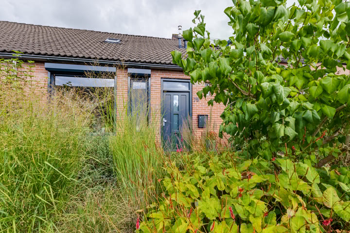 Foto 16 van Bevrijding 75