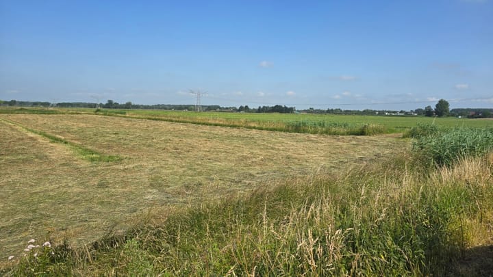 Nieuwe Weg, Wamel